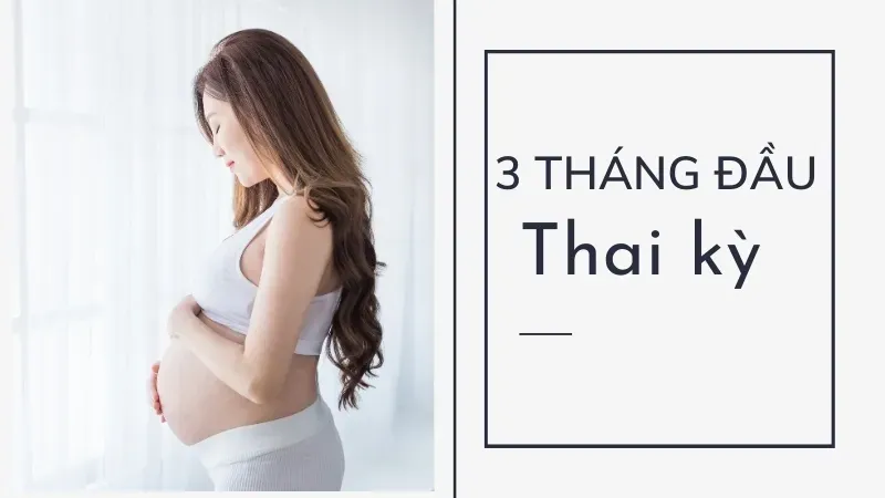 3 tháng đầu thai kỳ nên ăn gì để mẹ khỏe, con thông minh?