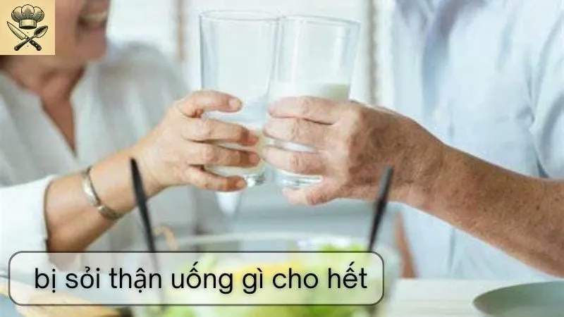 Hướng dẫn chi tiết  làm những đồ uống hỗ trợ người bị sỏi thận