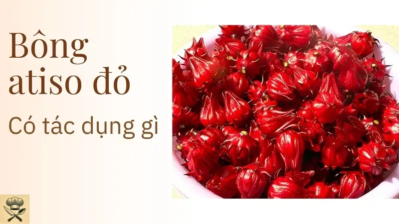 Bông atiso đỏ uống có tác dụng gì? Cách uống atiso đúng cách 2