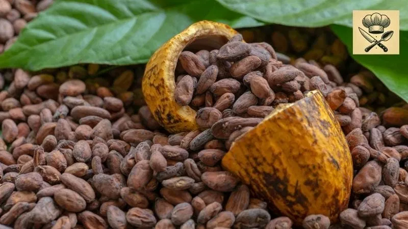 Hướng dẫn chi tiết cách làm đồ uống với cacao 1