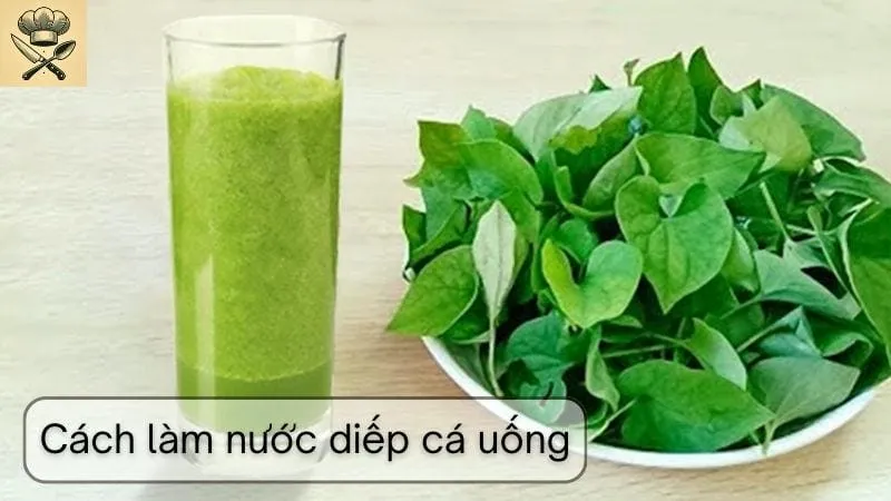 Hướng dẫn chi tiết cách làm nước diếp cá uống tại nhà