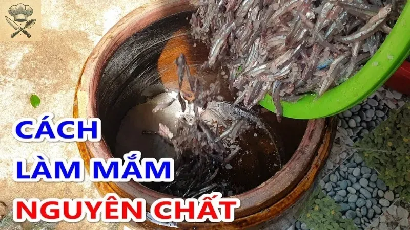 Hướng dẫn chi tiết cách làm nước mắm cá cơm tại nhà