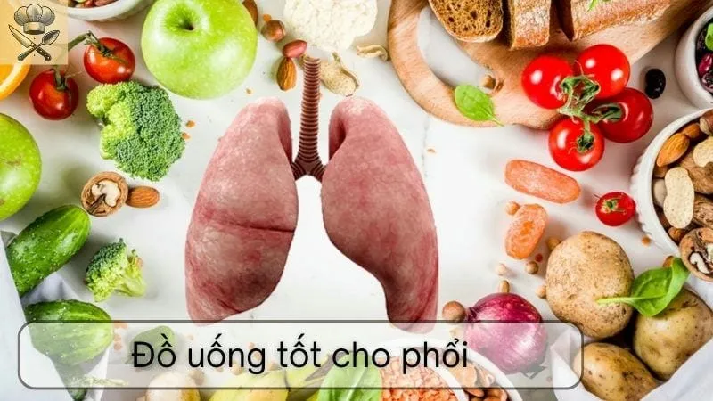 Hướng dẫn chi tiết những loại đồ uống tốt cho phổi