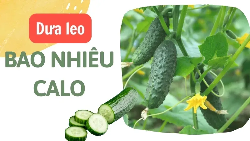 Dưa leo bao nhiêu calo? Cách ăn dưa leo để giảm cân 1