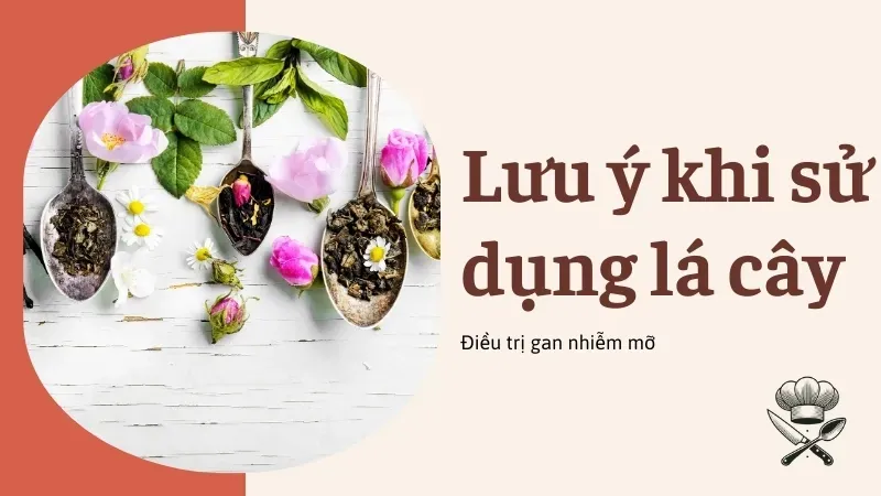 Top 5 loại lá giúp giảm mỡ gan độ 1 an toàn và hiệu quả nhất 5