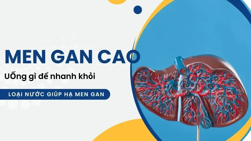 Những loại nước lá truyền thống giúp giải độc và hạ men gan