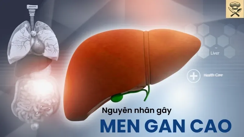 Những loại nước lá truyền thống giúp giải độc và hạ men gan 1