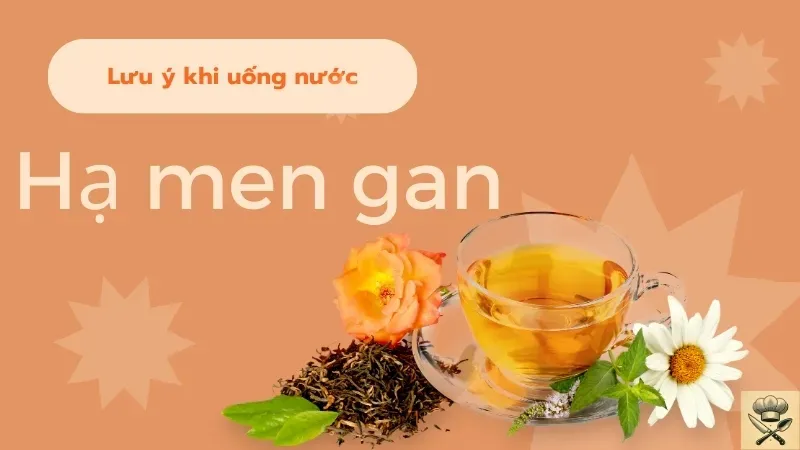 Những loại nước lá truyền thống giúp giải độc và hạ men gan 5