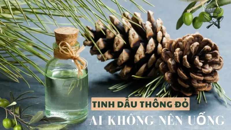 Nguy cơ khi sử dụng tinh dầu thông đỏ - Ai không nên uống? 2