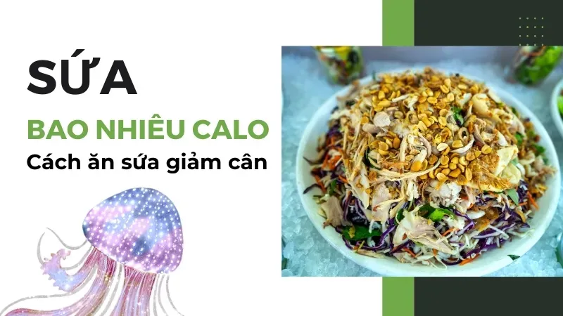 Sứa bao nhiêu calo? Cách ăn sứa đúng cách 1