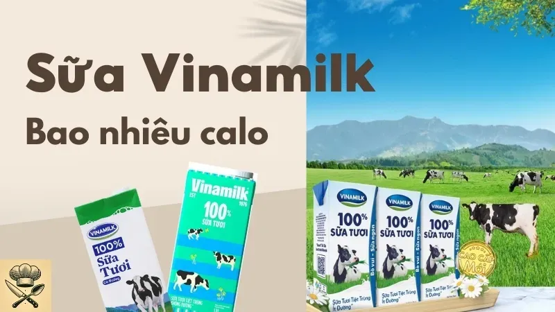 Sữa Vinamilk bao nhiêu calo? Uống sữa Vinamilk có tăng cân không? 1