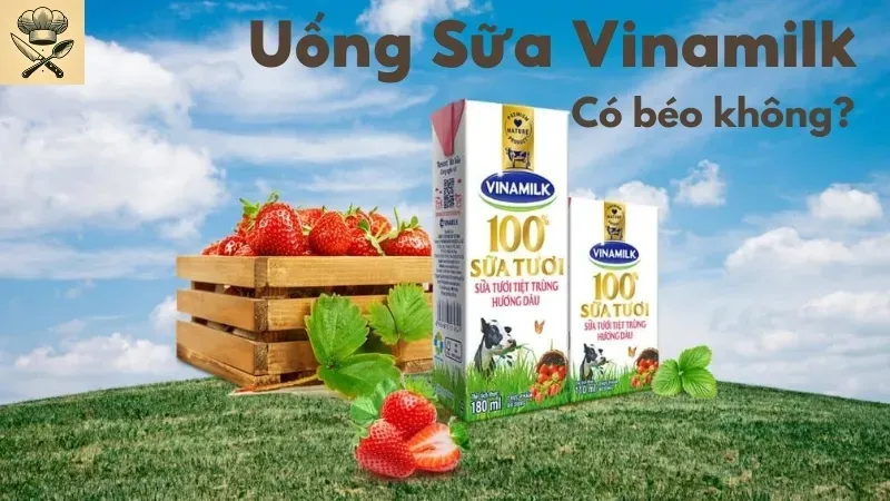 Sữa Vinamilk bao nhiêu calo? Uống sữa Vinamilk có tăng cân không? 4