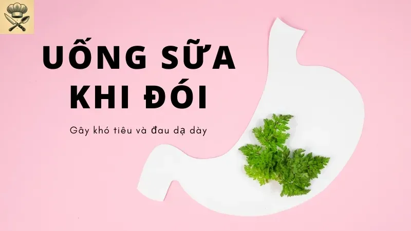 Uống sữa khi đói ảnh hưởng đến hệ tiêu hóa như thế nào? 2