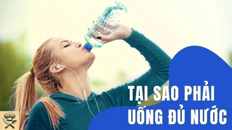 Tại sao phải uống đủ nước? Ảnh hưởng của nước đến hệ bài tiết