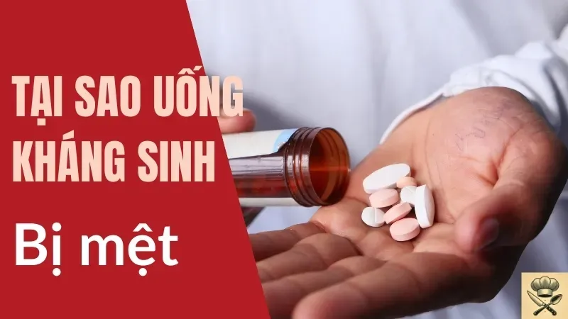 Tại sao uống kháng sinh lại mệt? Cách giảm cảm giác mệt mỏi