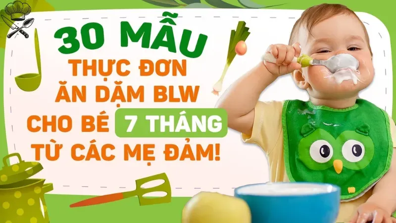 Thực đơn ăn dặm cho bé 7 tháng nên bắt đầu từ đâu? 2