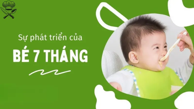 Thực đơn ăn dặm cho bé 7 tháng nên bắt đầu từ đâu? 5