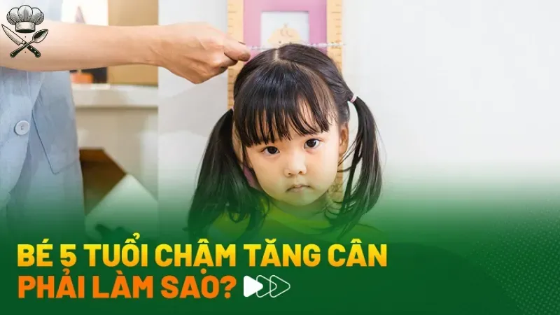 Thực đơn cho bé 5 tuổi tăng cân gồm những thực phẩm nào? 1