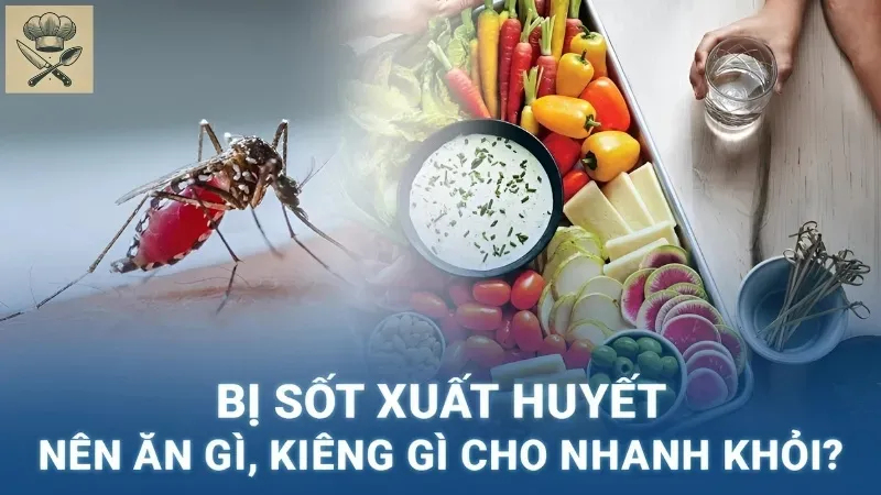 Thực đơn dinh dưỡng cho người sốt xuất huyết nhanh lành 4