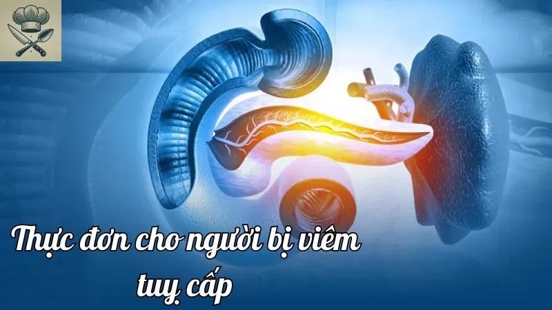 Thực đơn viêm tụy cấp có quan trọng không? Tìm hiểu ngay!