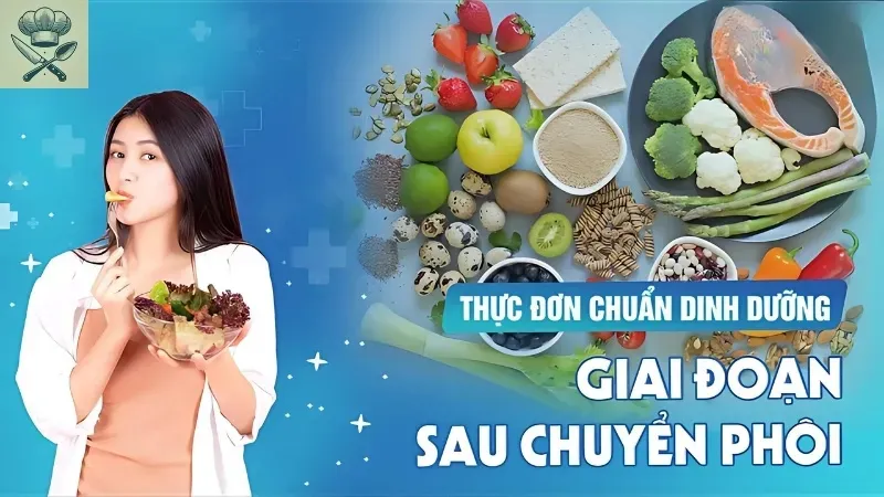 Thực đơn sau chuyển phôi - Những món ngon giúp phục hồi nhanh chóng