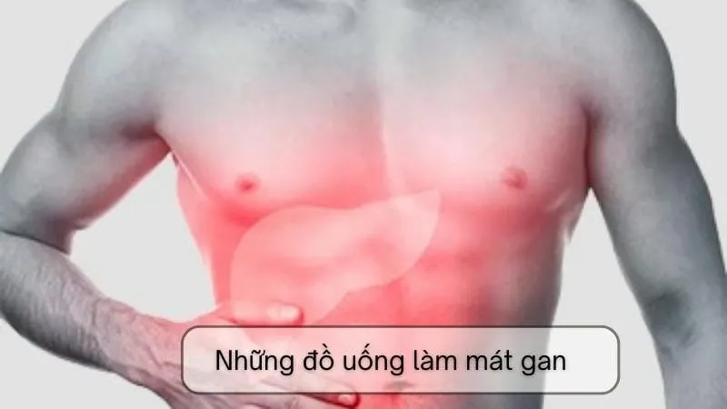 Uống gì cho mát gan hết ngứa - 8 loại đồ uống tốt cho gan 1