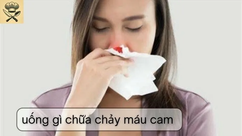 Hướng dẫn chi tiết cách làm đồ uống chữa chảy máu cam