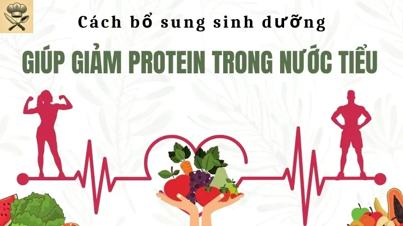 Giải pháp tự nhiên giảm protein trong nước tiểu hiệu quả 5