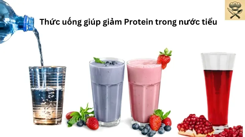 Giải pháp tự nhiên giảm protein trong nước tiểu hiệu quả 2