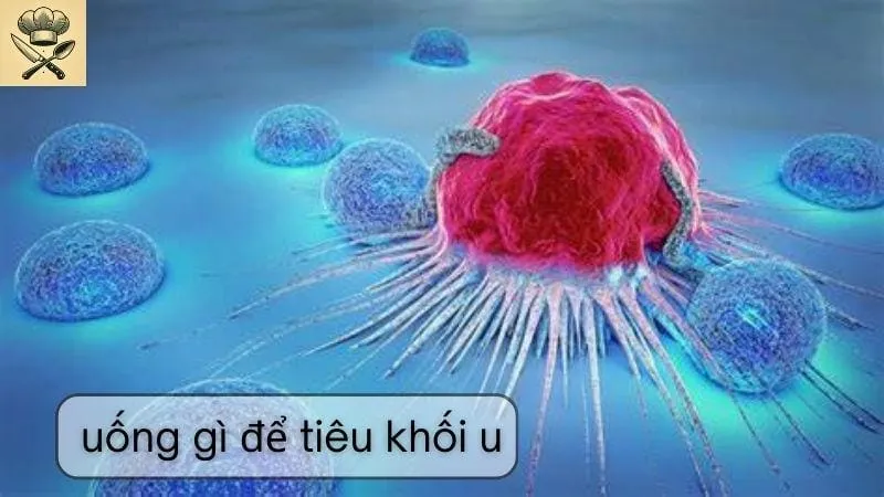 Hướng dẫn chi tiết cách làm đồ uống hỗ trợ tiêu khối u