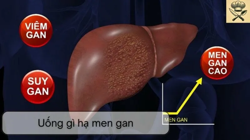 Thức uống tự nhiên hỗ trợ hạ men gan hiệu quả
