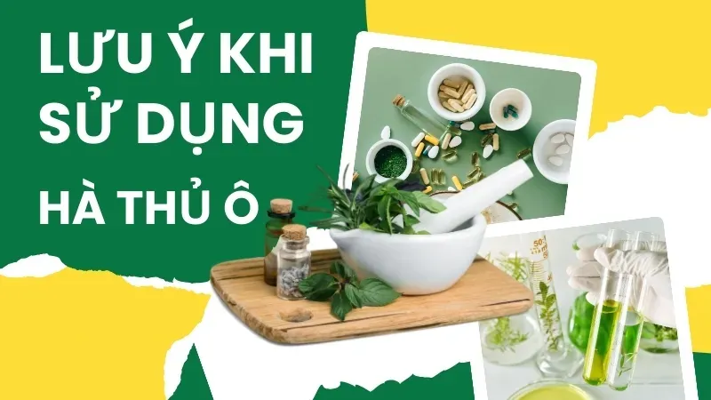 Uống hà thủ ô cần kiêng gì? Những điều cần biết để tránh tác dụng phụ 5