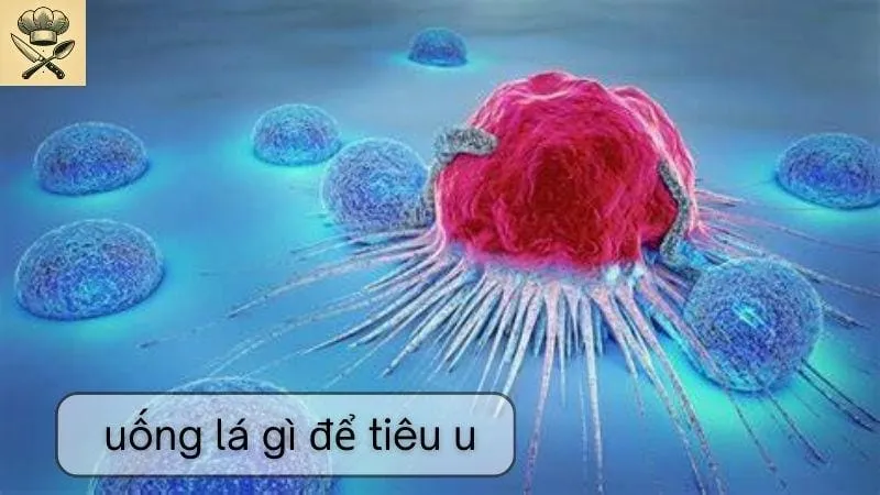 Hướng dẫn cách làm đồ uống từ lá hỗ trợ tiêu khối u