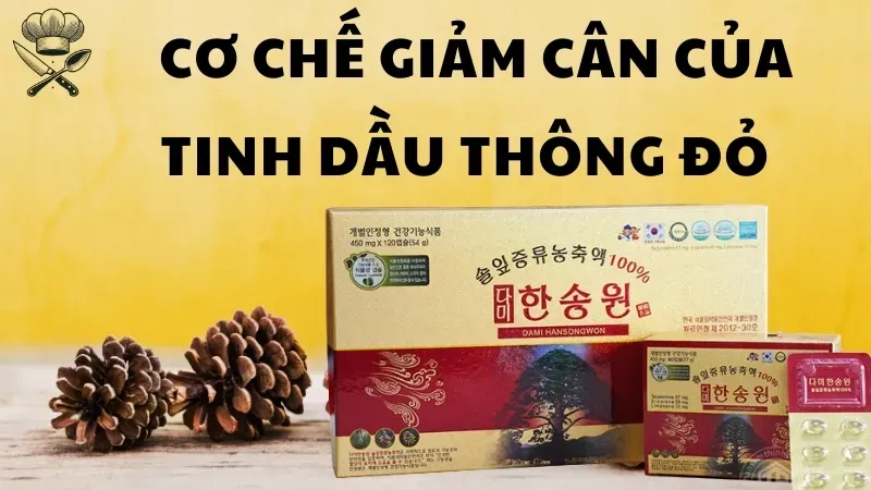 Uống tinh dầu thông đỏ có giảm cân không? Giải đáp từ chuyên gia 4