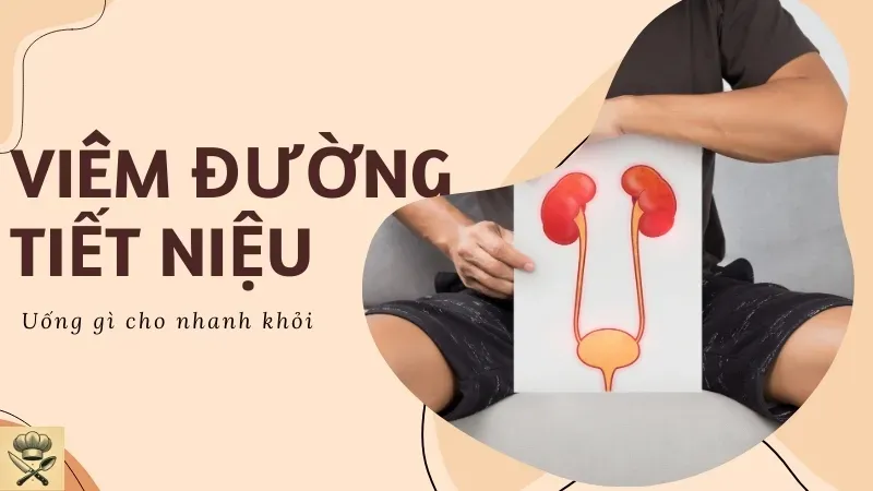 Top 15 loại nước uống thần thánh cho người bị viêm đường tiết niệu 2