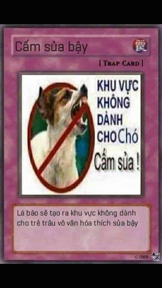 Trải nghiệm các trận chiến kịch tính với bộ bài yugioh meme.