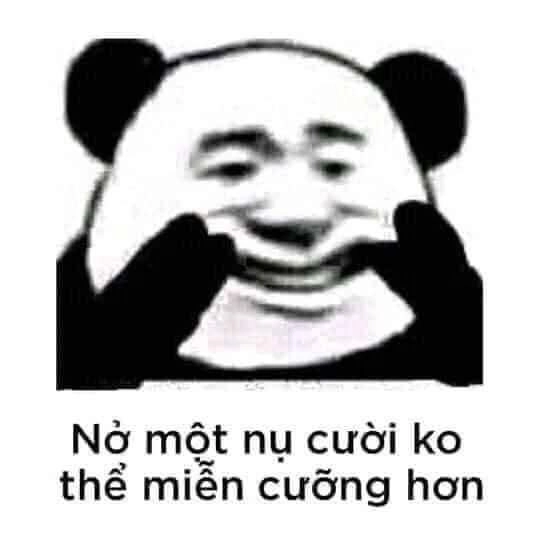 Một khoảnh khắc đáng yêu của meme mèo cười nhe răng, cực kỳ hài hước.