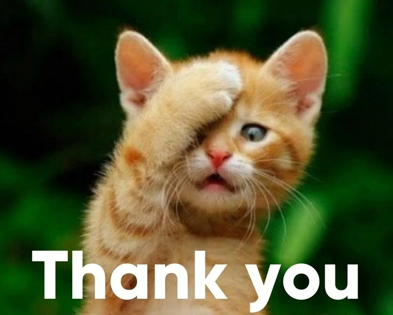 thank you for listening meme là cách tuyệt vời để bày tỏ lòng cảm kích.