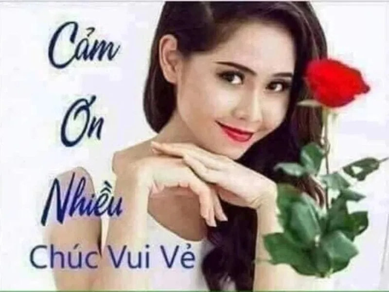 Meme of thank you là cách gửi lời cảm ơn hài hước và độc đáo.