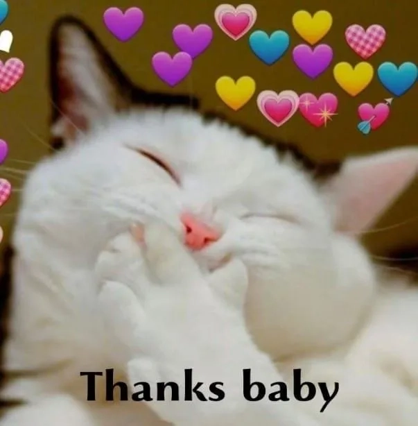 Thank you slide meme là màn cảm ơn dễ thương không thể bỏ qua.