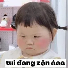 Ảnh mèo khóc meme là hình ảnh hoàn hảo để gửi gắm những cảm xúc buồn vui.