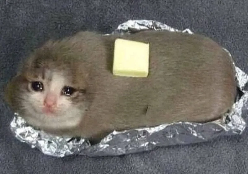 Một chút hài hước, một chút buồn bã, đừng bỏ qua crying banana cat meme.