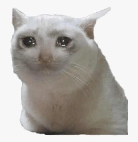 Đừng bỏ qua banana cat cry meme, nơi sự kết hợp của hài hước và cảm xúc bất ngờ.