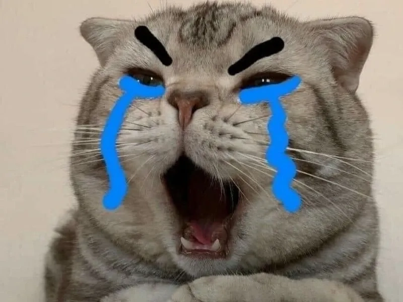 Hình ảnh Pepe khóc trong crying pepe meme sẽ làm bạn không thể ngừng cười.