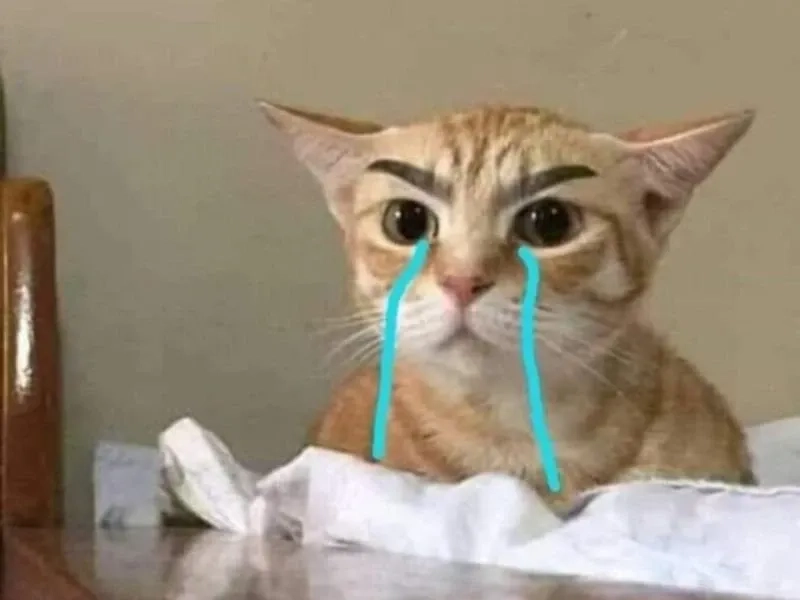 Cảm xúc giận dữ và đau buồn kết hợp trong angry crying meme.