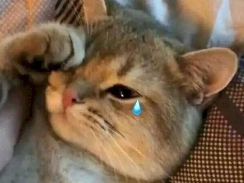 Cảnh Aya Asagiri khóc trong aya asagiri crying meme khiến người xem không khỏi xót xa.