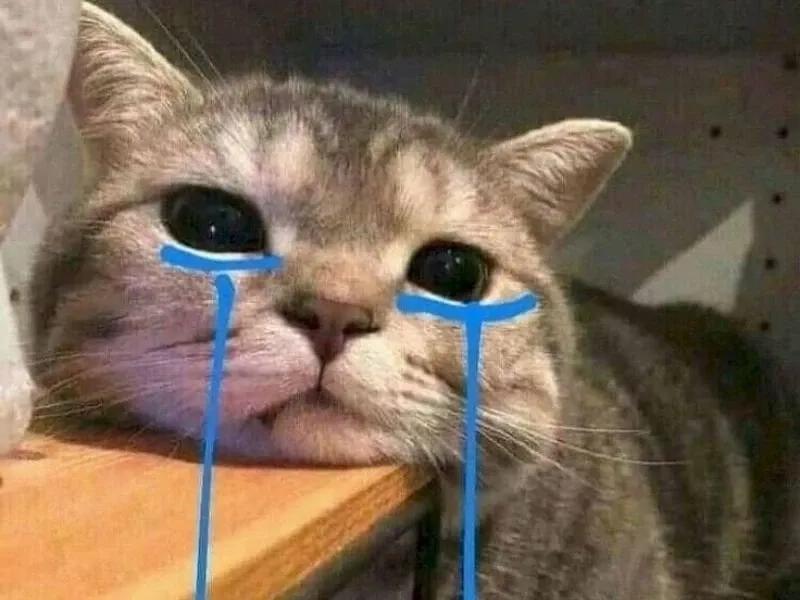 Khi cô gái khóc trong girl cry meme, cảm xúc của bạn sẽ dâng trào.