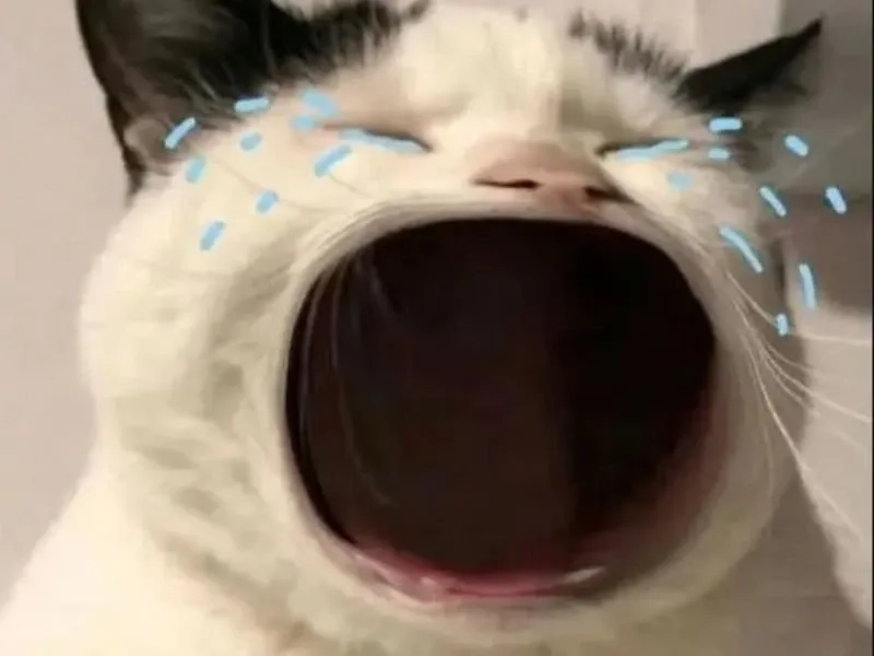 Cảnh Wojak khóc trong cry meme wojak thật sự làm người xem phải dừng lại suy ngẫm.