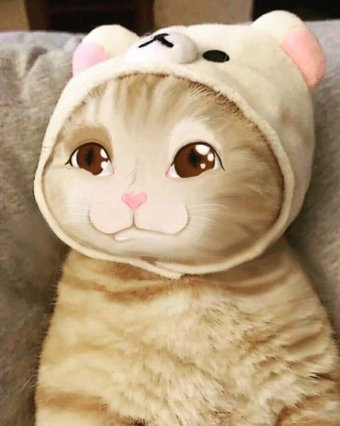 Meme cute hình icon dễ thương sẽ làm bạn mỉm cười mỗi khi nhìn thấy.