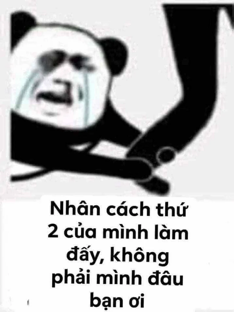 Ảnh hài weibo meme gấu trúc troll face luôn khiến bạn không thể ngừng cười.